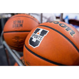 WILSON EVOLUTION BASKETBALL